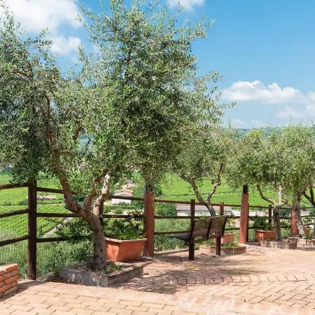 Отель Sporting San Felice