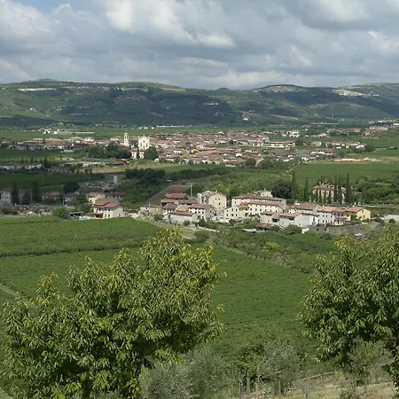Hotel Sporting San Felice 3*